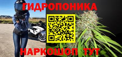 эйфоретик Гусиноозёрск