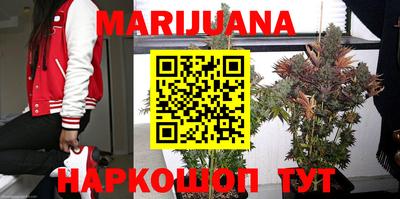 тгк Гусев