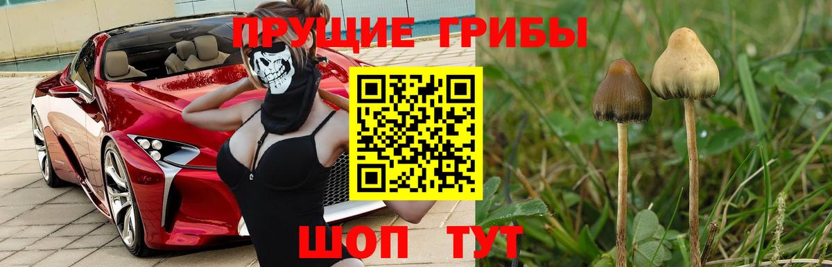 Нальчик  Галлюциногенные грибы Magic Shrooms  Вход с VPN  Псилоцибиновые грибы MAGIC MUSHROOMS 